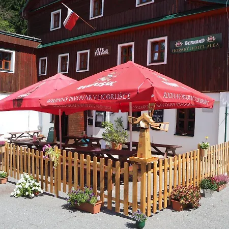 Hotel Alba