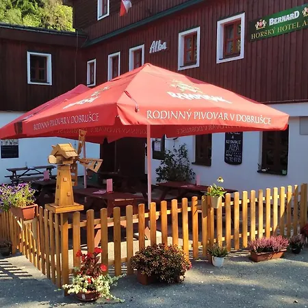 Alba Hotel Destne v Orlickych horach