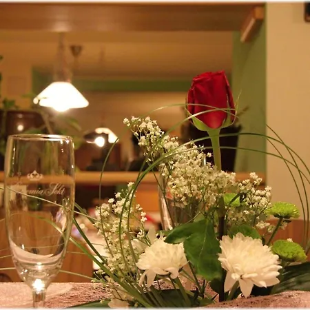 Hotel Alba 3*