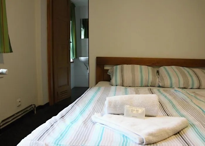 Hotel Alba Deštné v Orlických horách